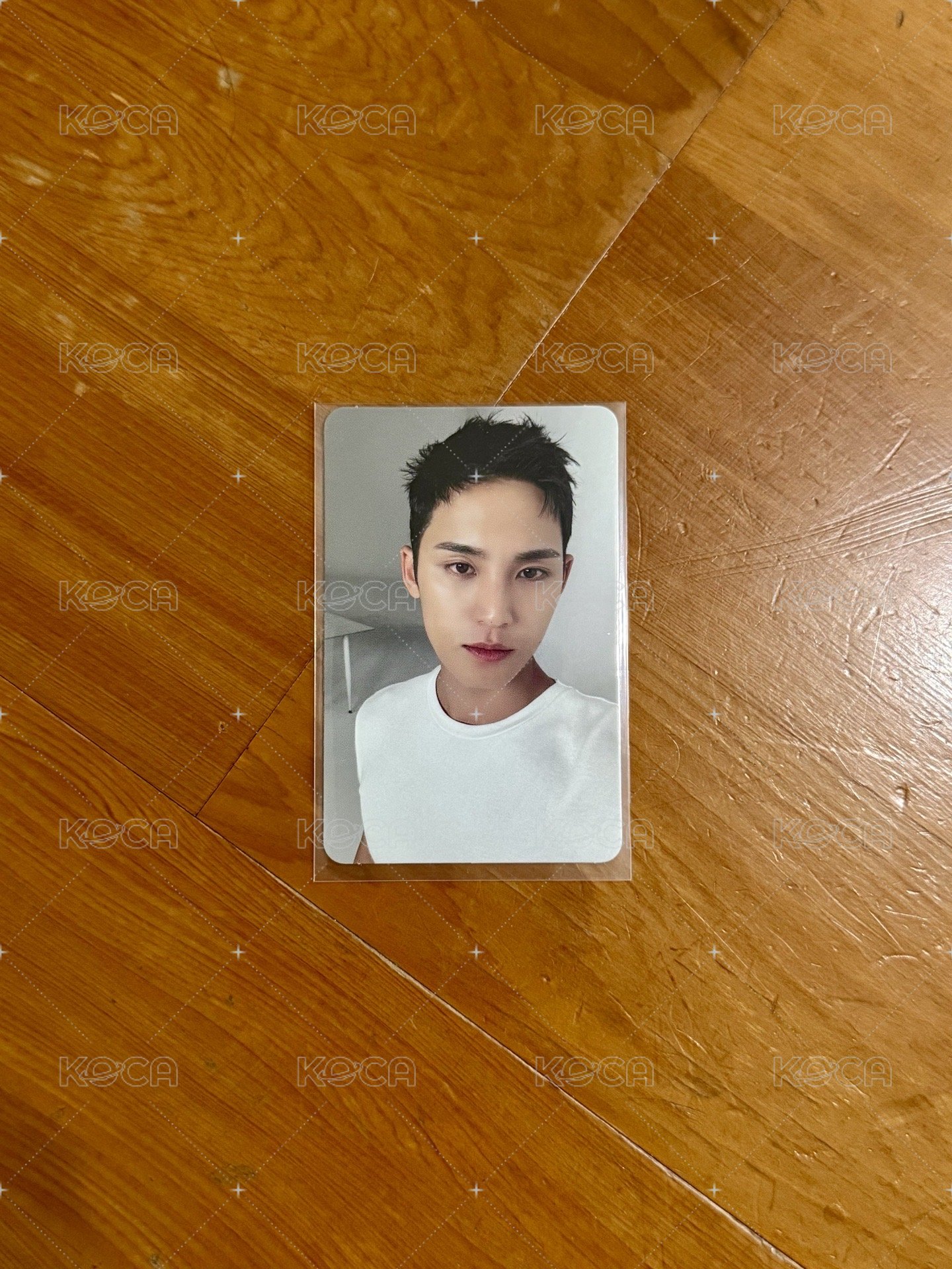 精選專 CARAT ver. 專輯卡1