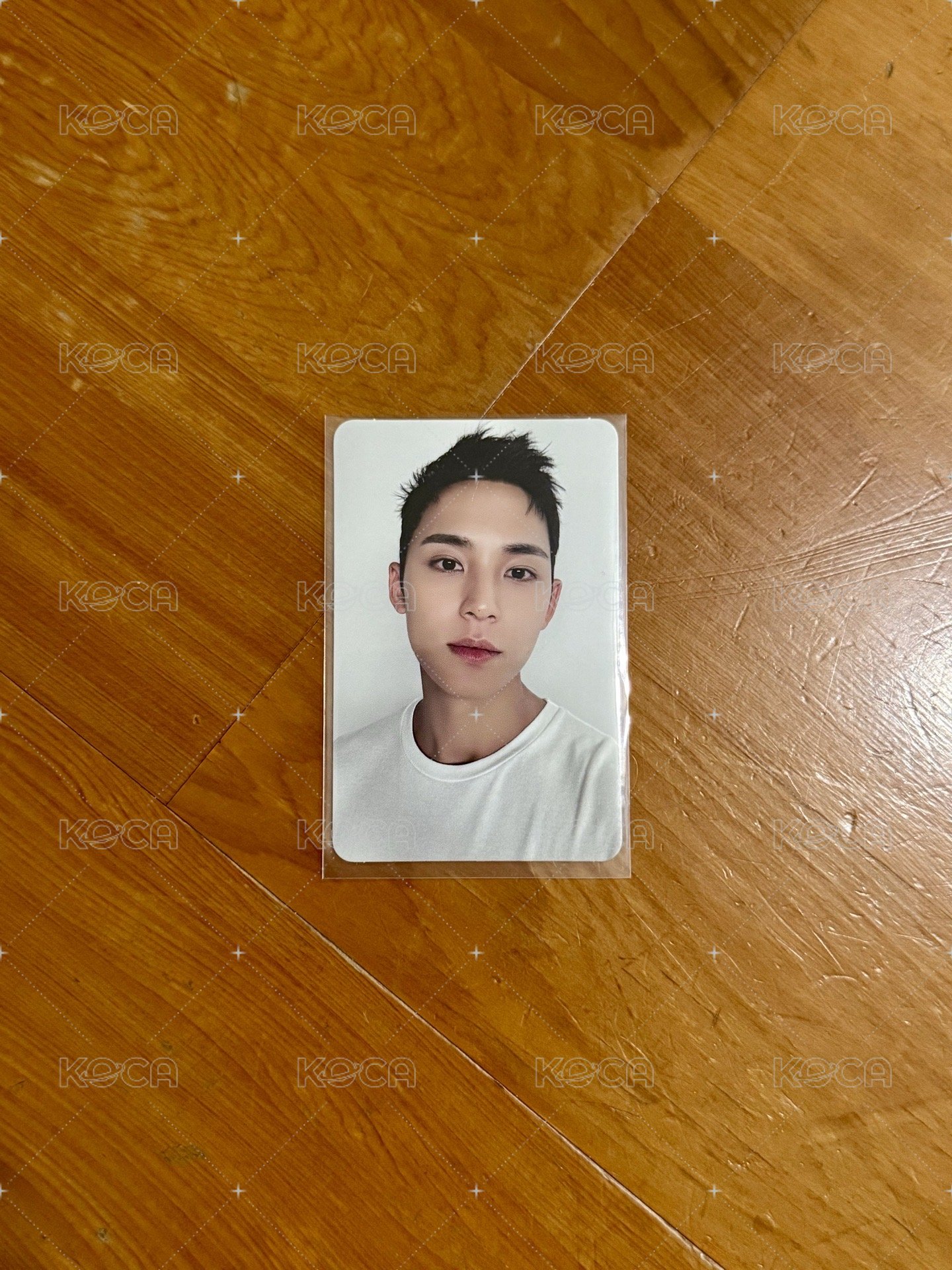 精選專 CARAT ver. 專輯卡2