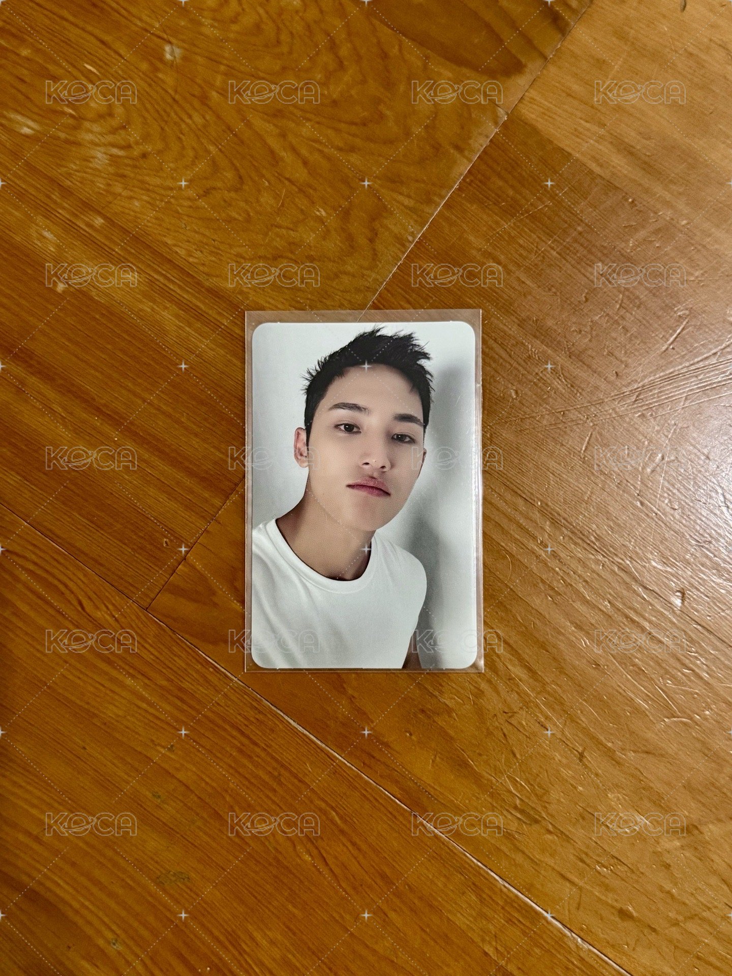 精選專 CARAT ver. 專輯卡3