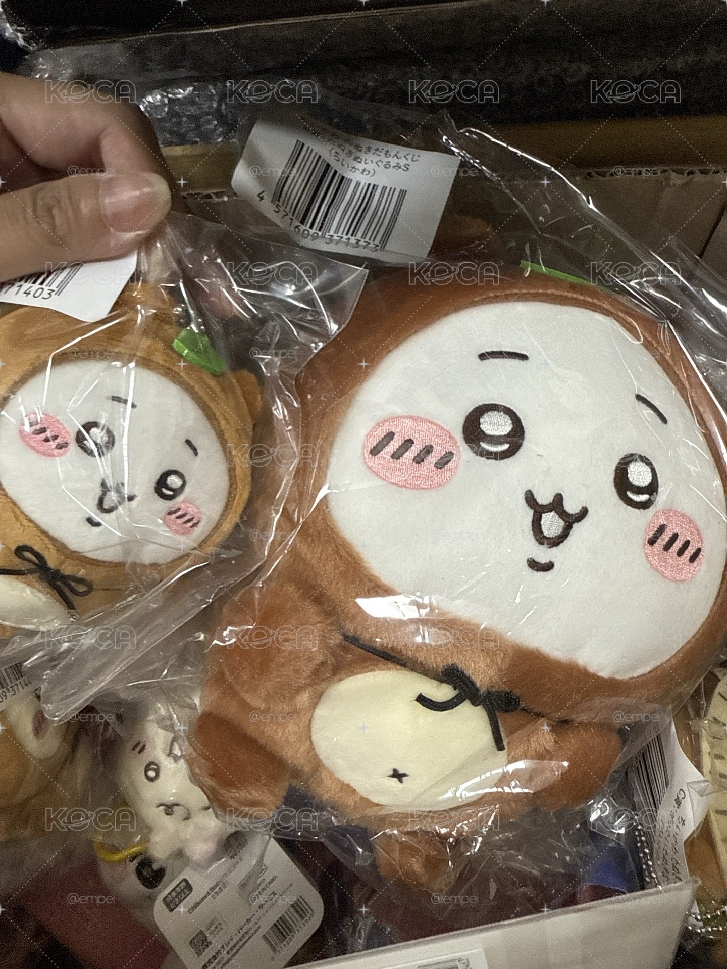 狸貓 一番賞 娃娃 全新