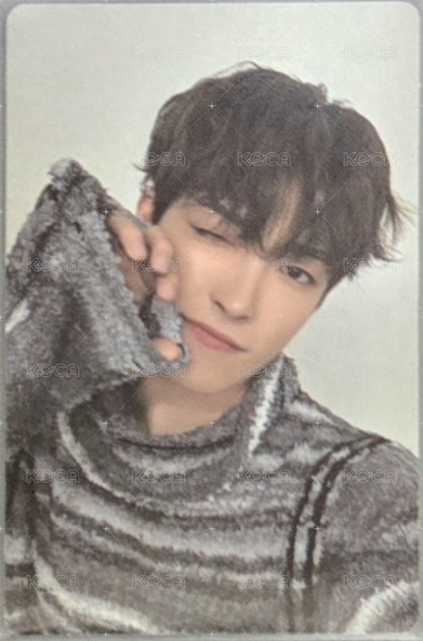 爪爪wink