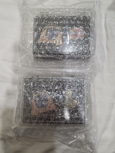 入場禮全新未拆含小卡現貨