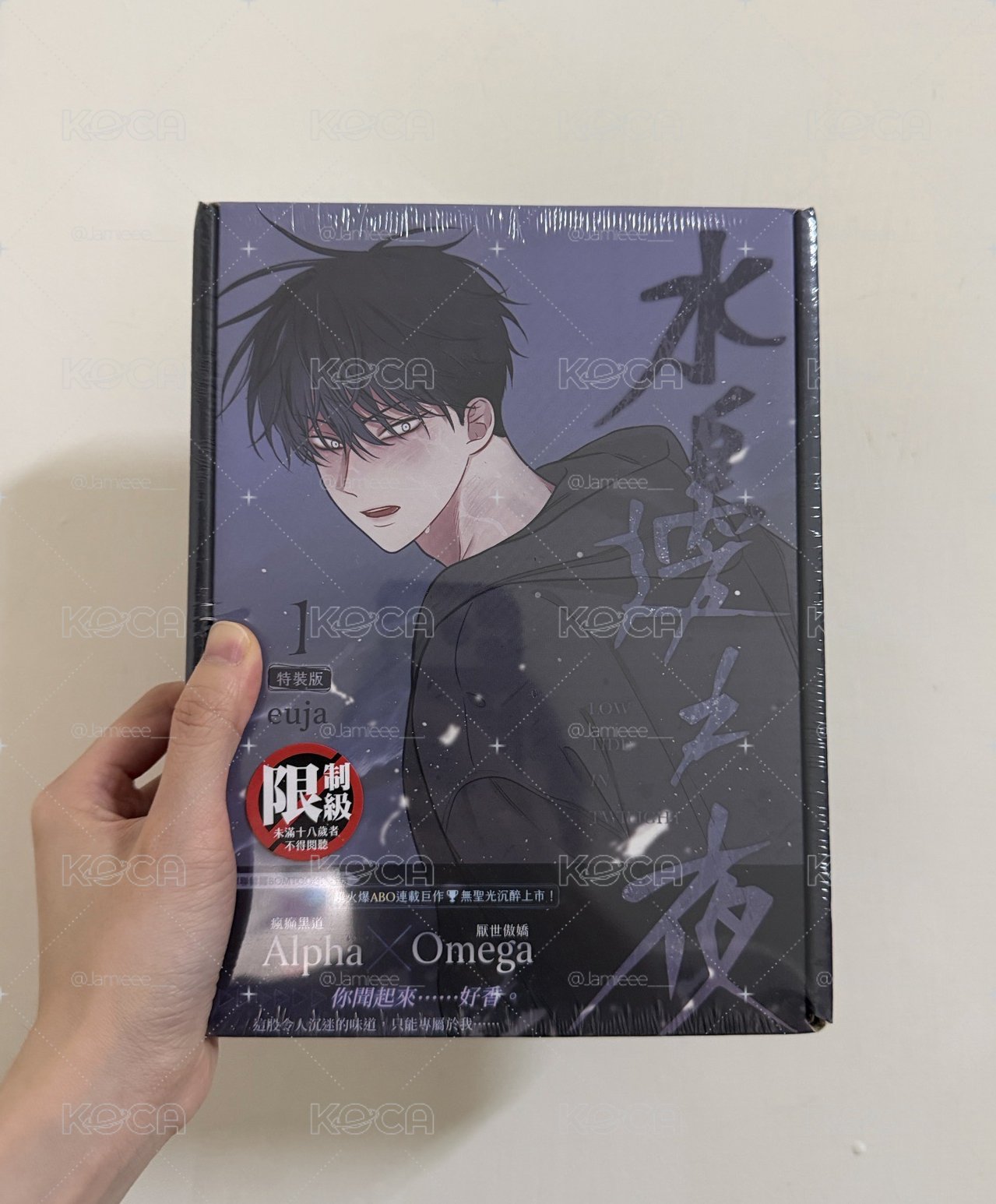 水邊之夜1 特裝版 全新未拆