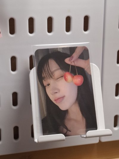 DRAMA簽售卡 