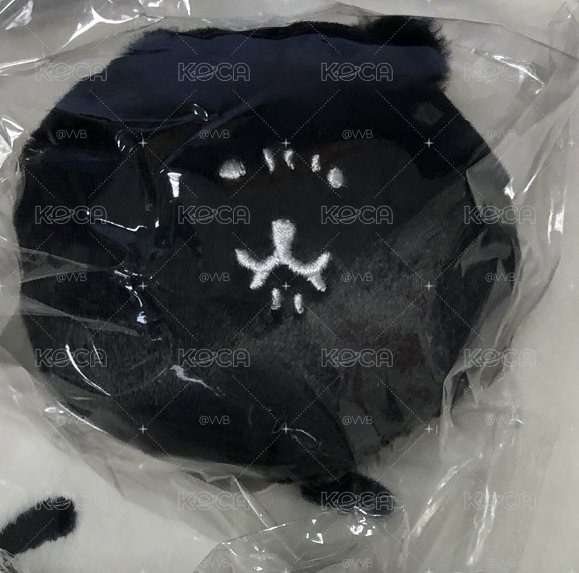 nagano 自嘲熊 白熊一番賞 E賞 吊娃