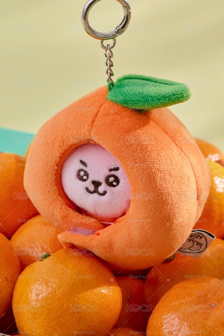 BTS｜BT21橘子派對-COOKY<現貨>