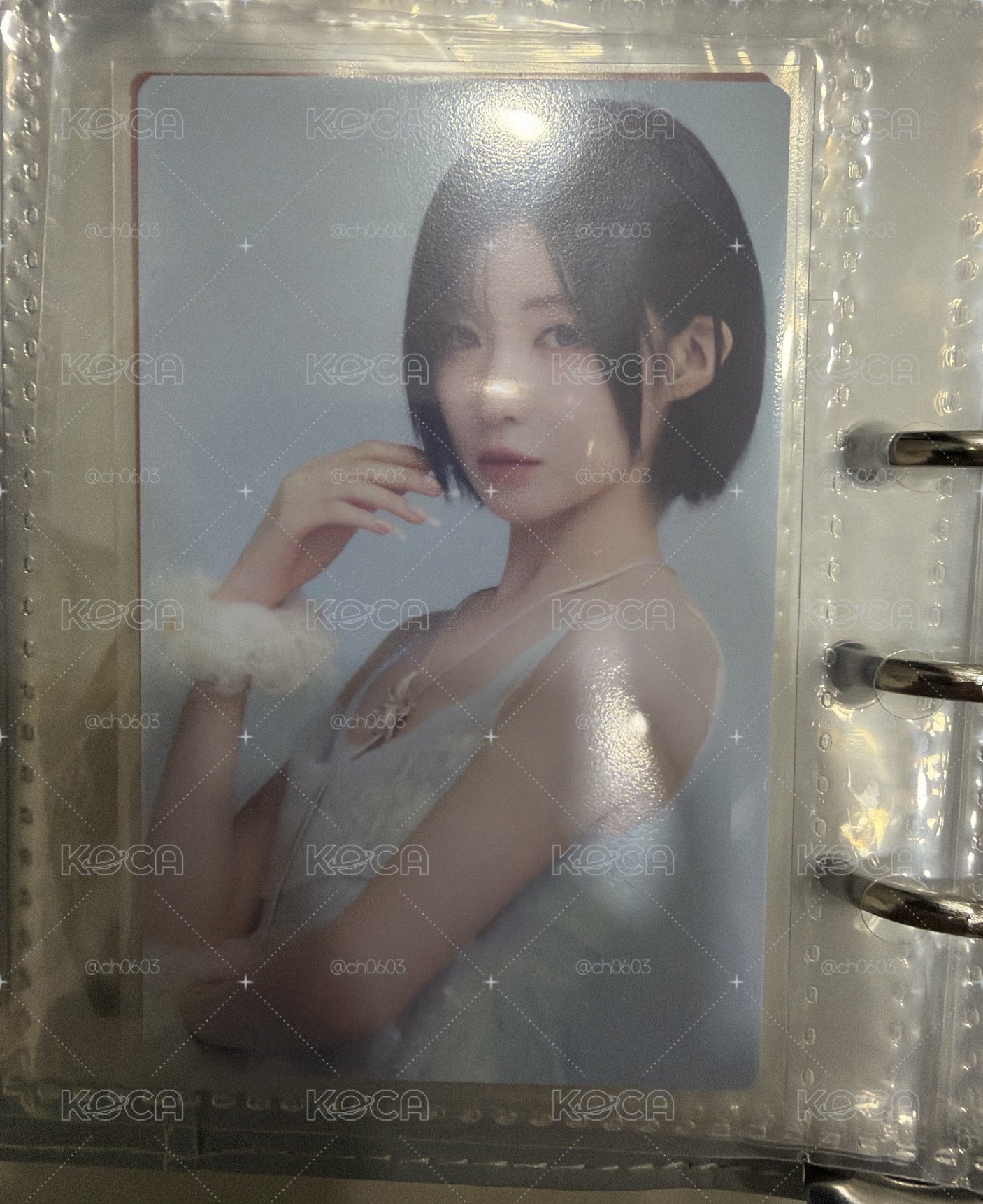 SDL 紗