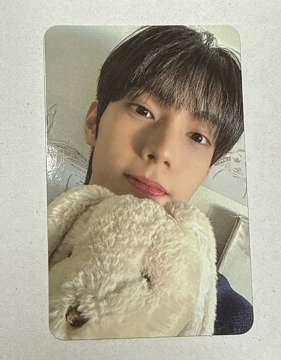 🐰🐰現貨