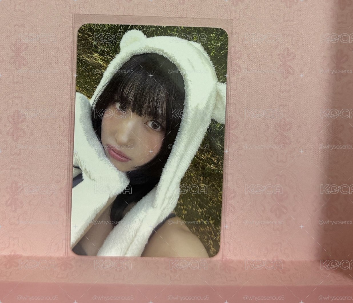 三隻小熊 桃娜定🐻白熊帽 熊愛你