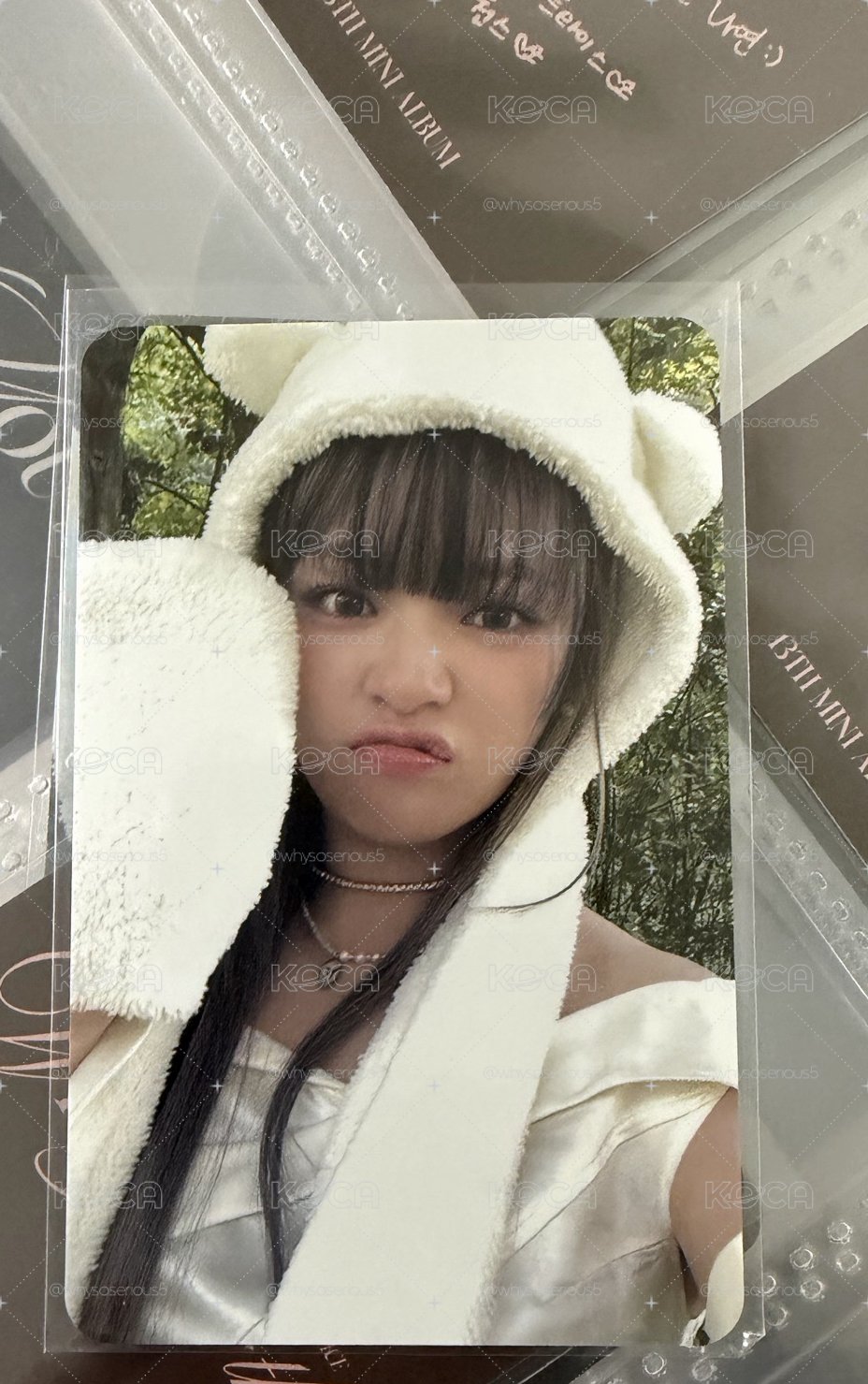 三隻小熊 桃娜定🐻白熊帽 熊愛你
