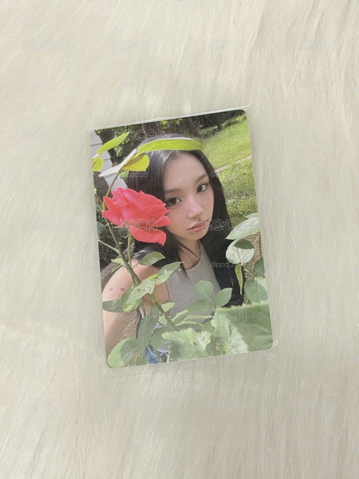 孫彩瑛雜誌卡