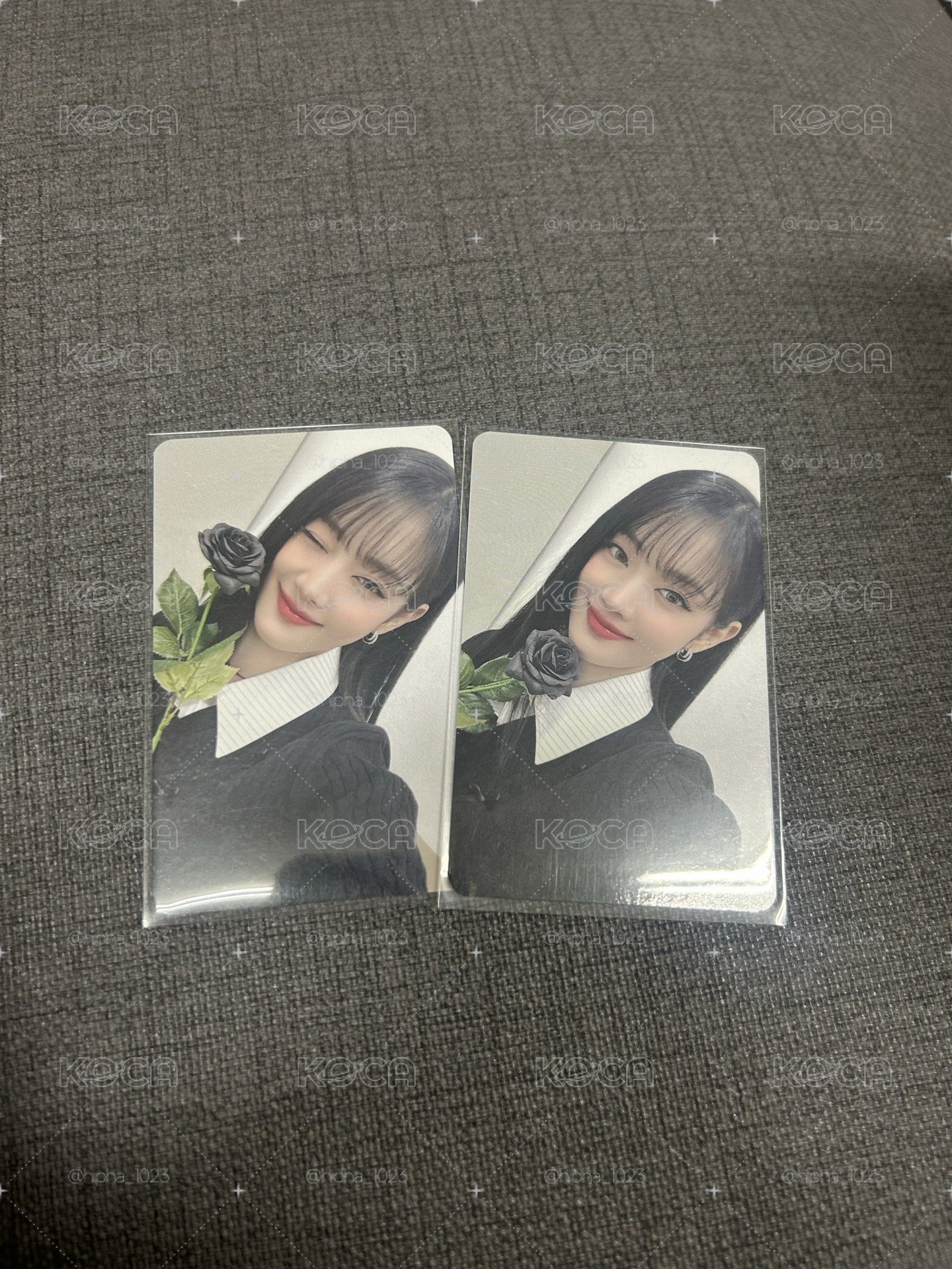 黑玫瑰妮一套