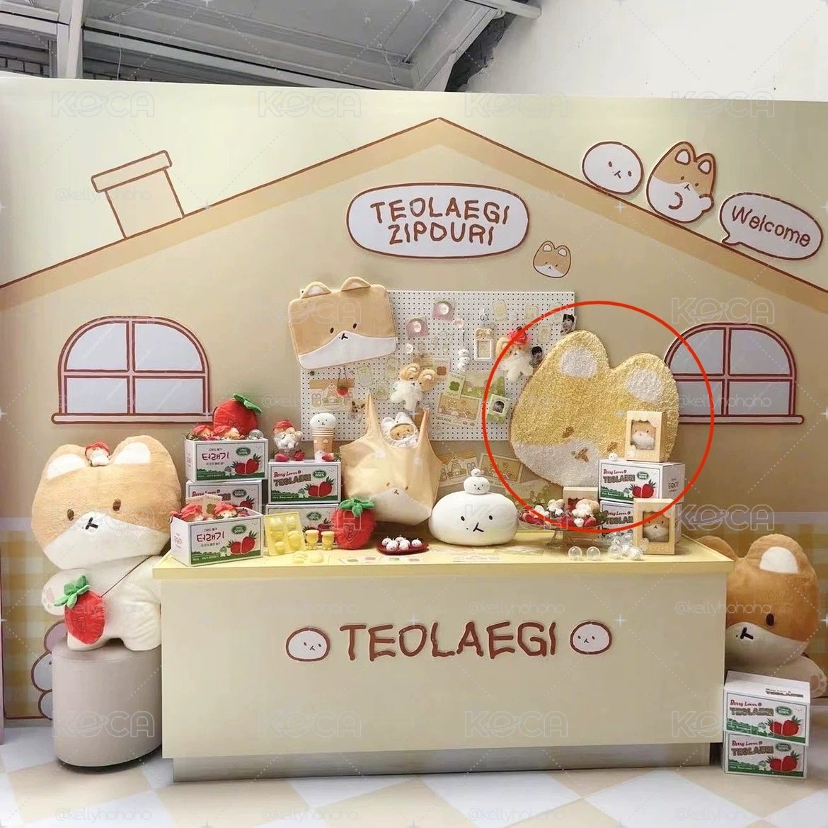 伯賢 TEOLAEGI特萊騎地墊