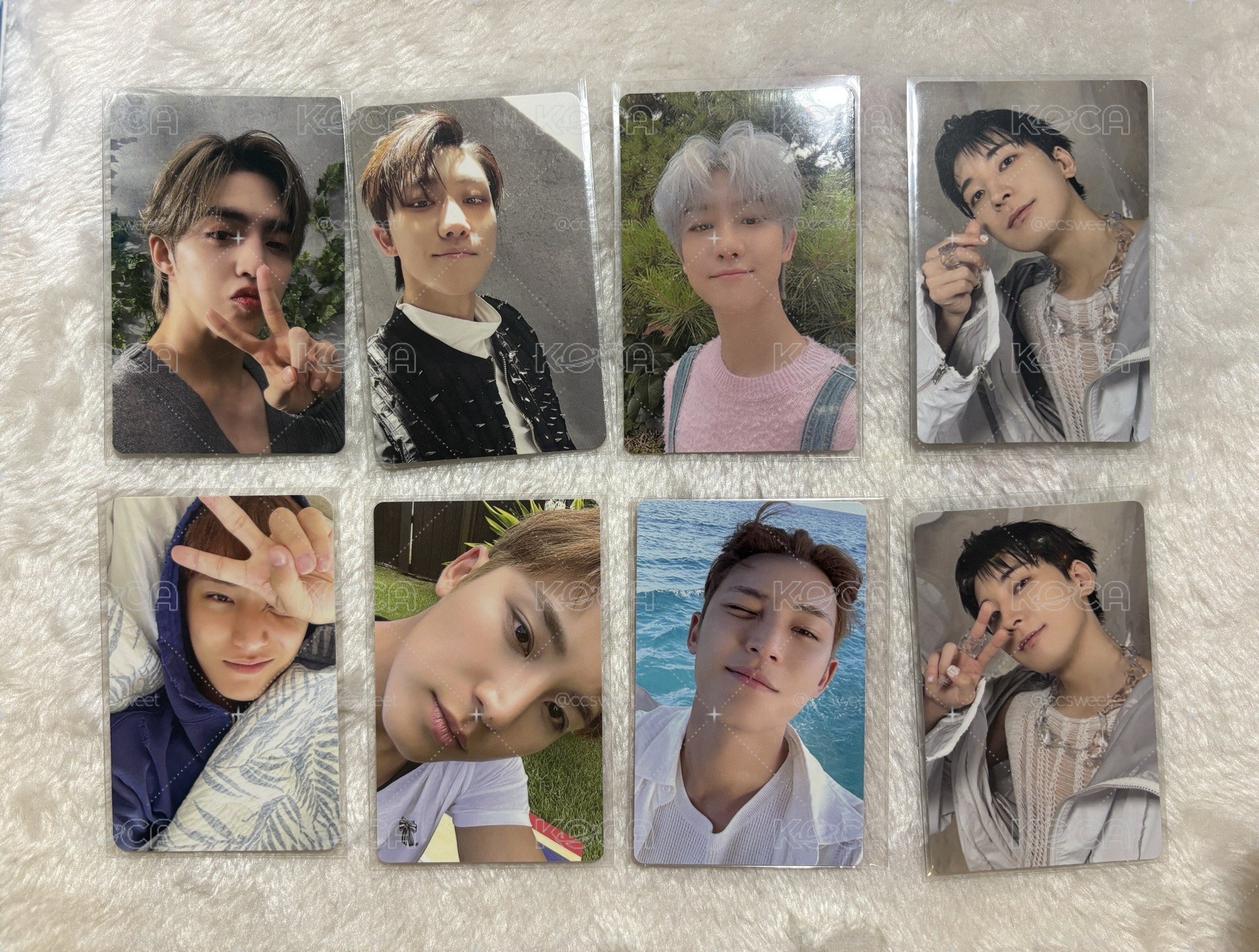 SEVENTEEN 小卡