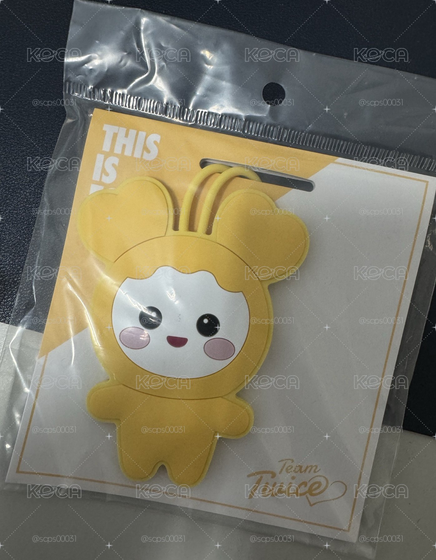 志效 新國立 行李吊牌