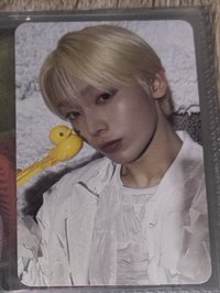 專卡禹（鴨子）