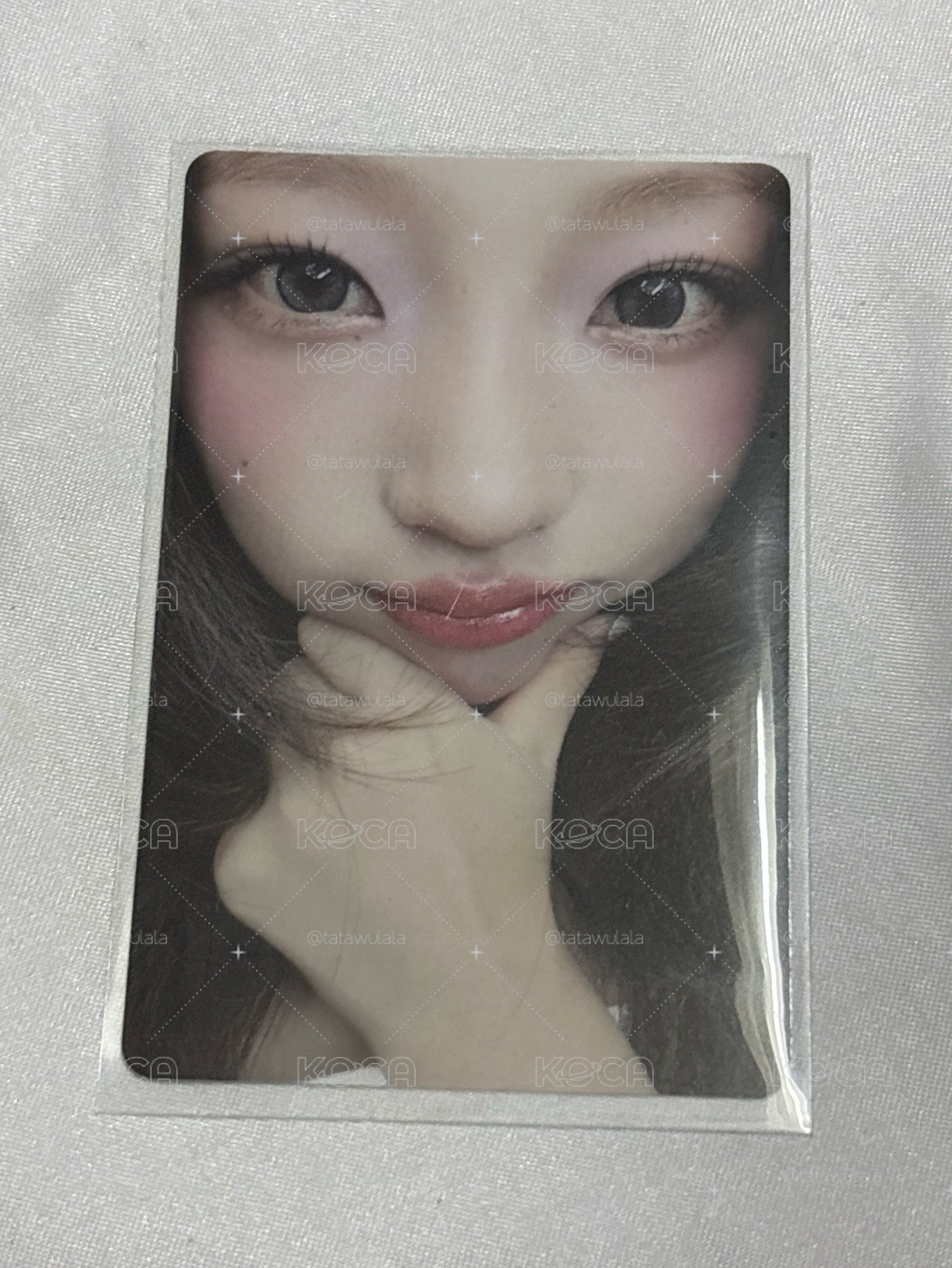 h2h stella focus 專卡