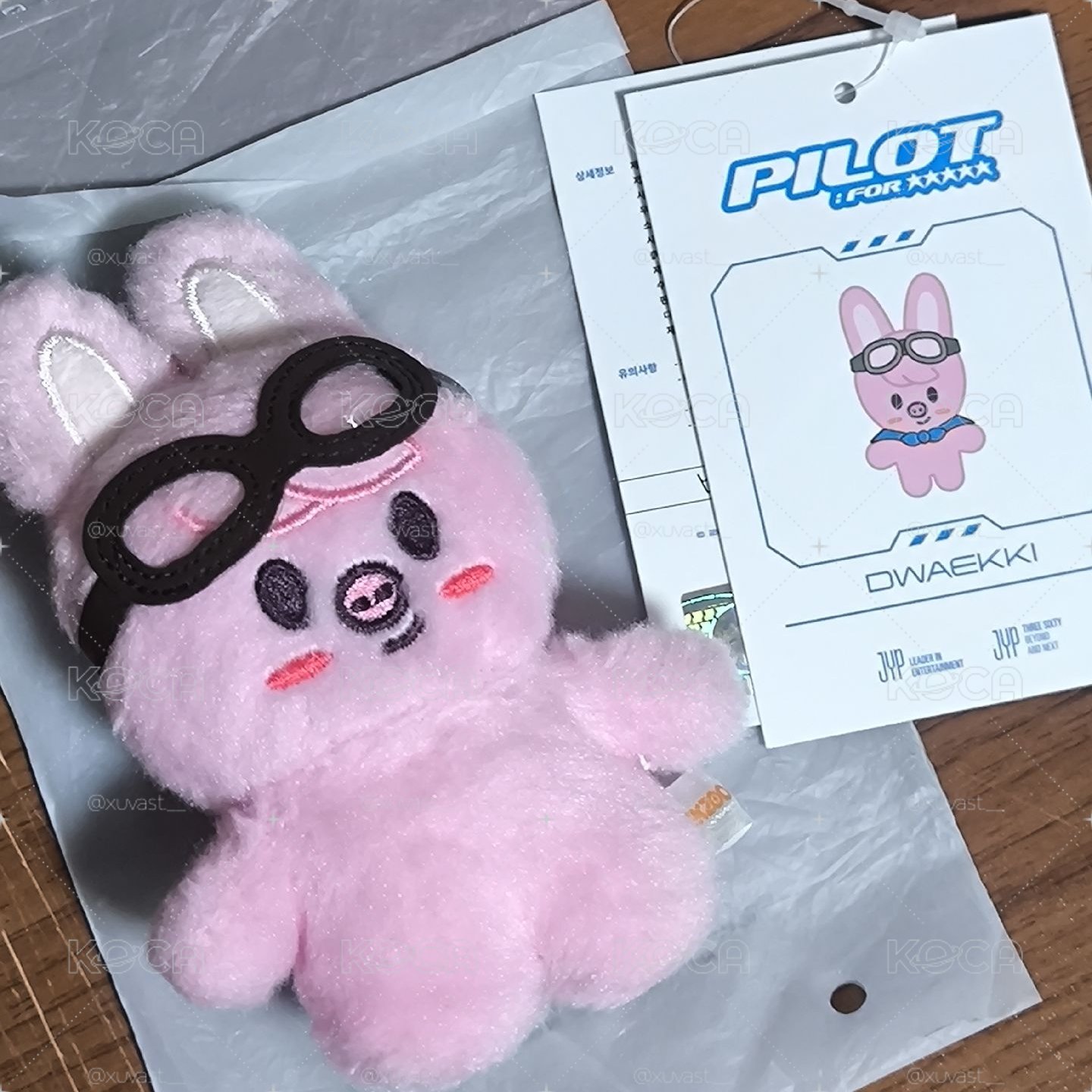 飛行豬兔忘記帶斗篷
