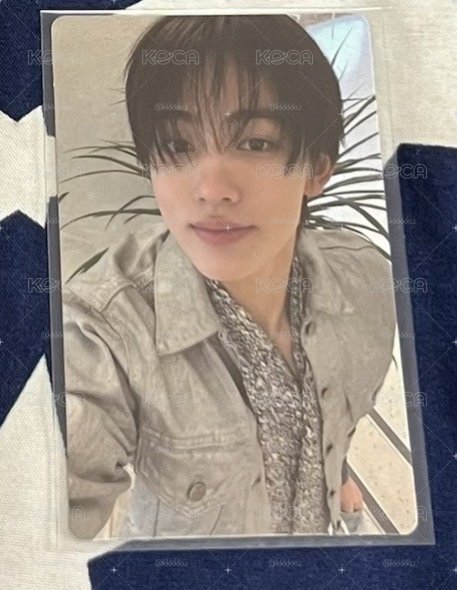 迷二 wvs 玹🦊