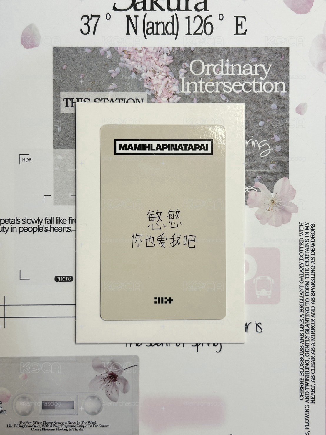 代友售慜迷四yzy1.0中背⊹ ࣪ ˖