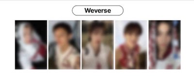 拆el、wvs
