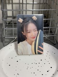 倉鼠