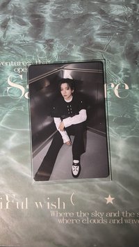 在電梯裡等你帶回家的明小狗