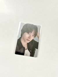 貓貓你頭痛嗎