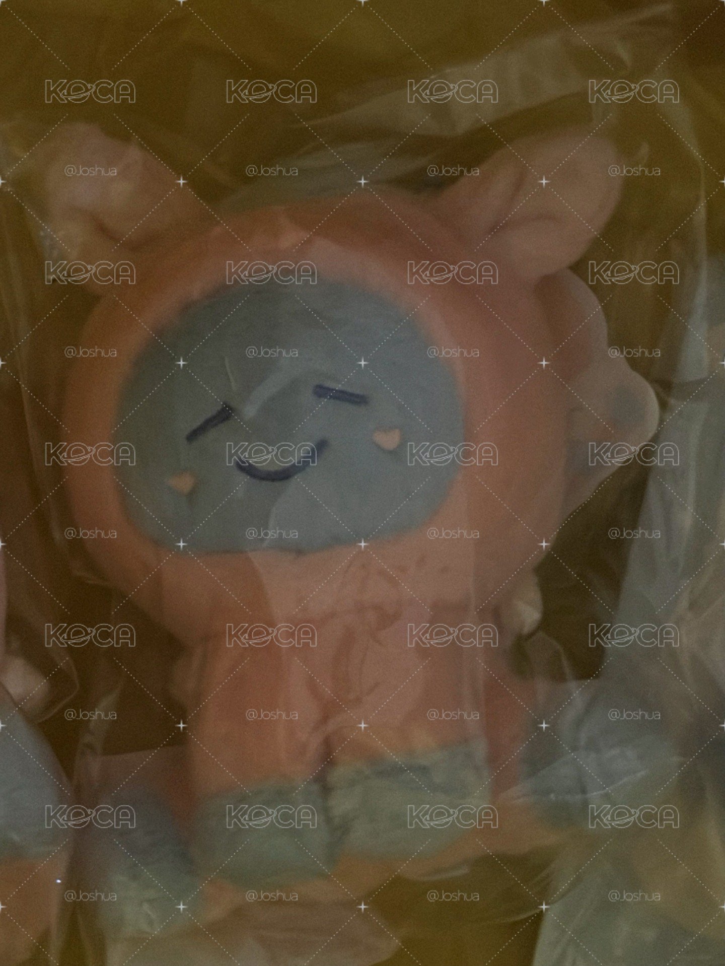赤兔馬娃