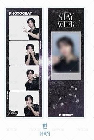 城 人生四格1組