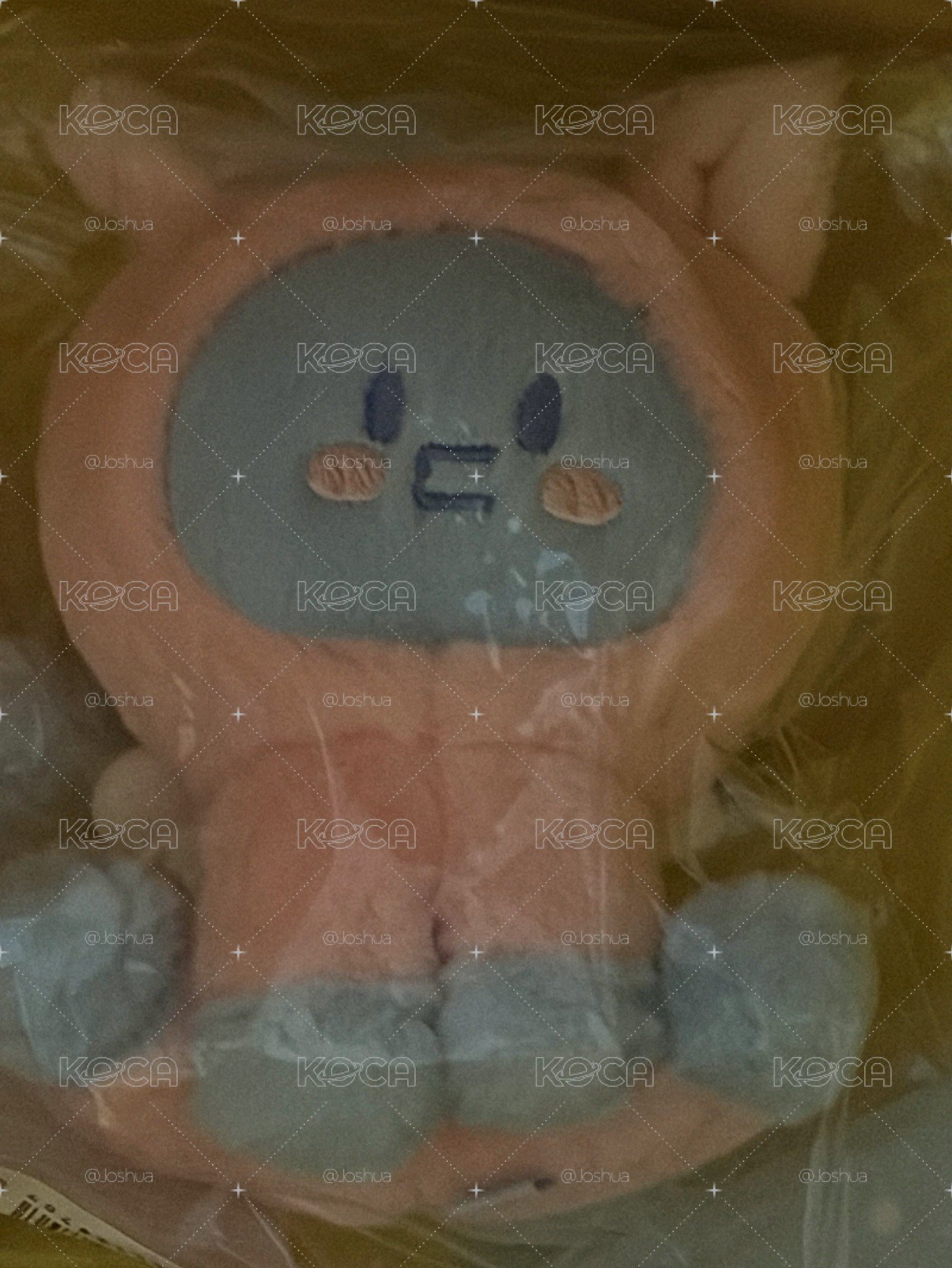 赤兔馬娃