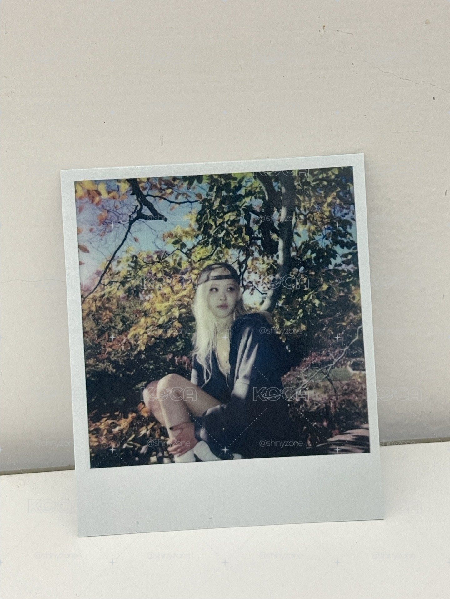Rosé 快閃滿額拍立得