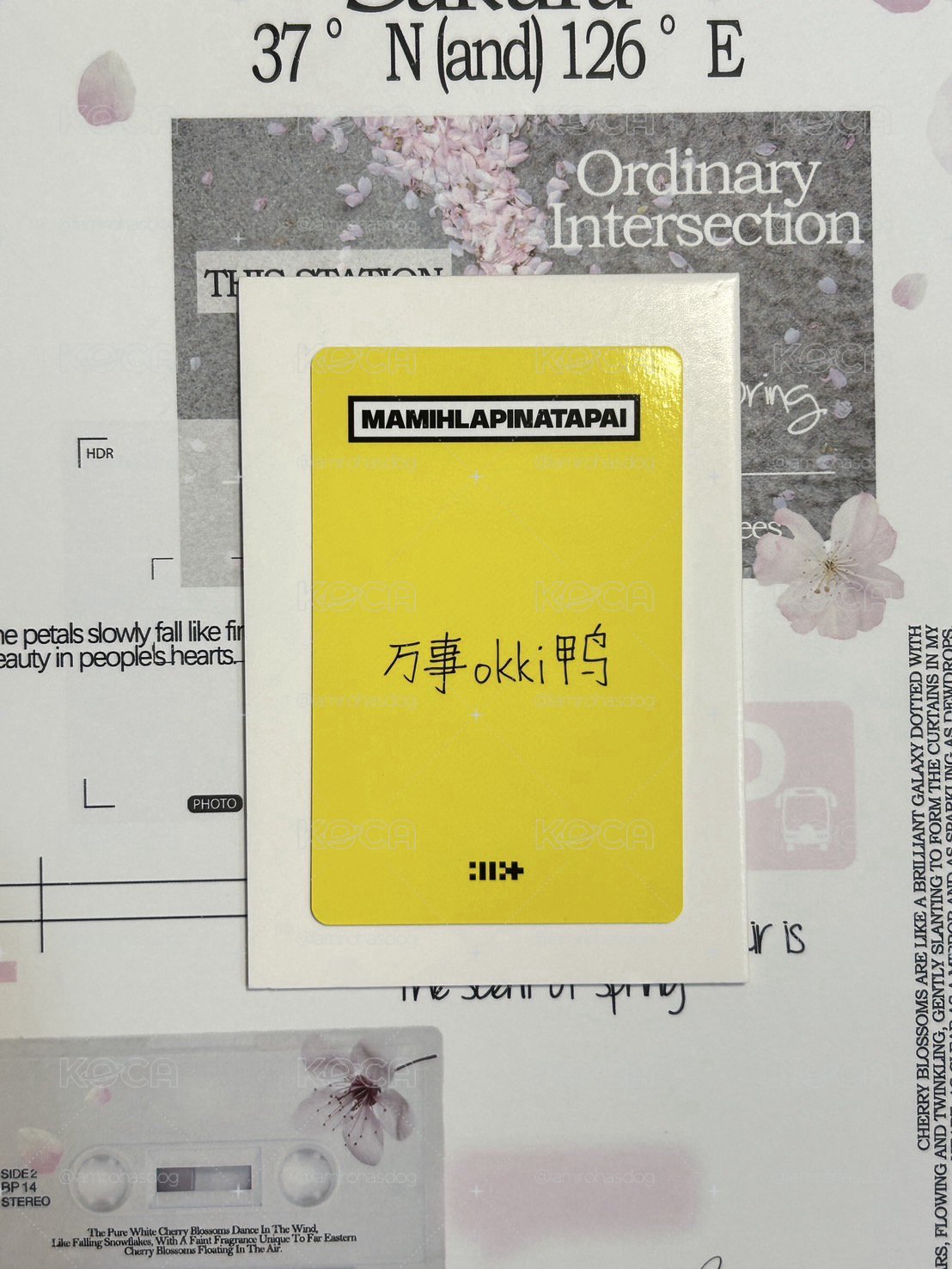 代友售慜迷四yzy2.0中背⊹ ࣪ ˖
