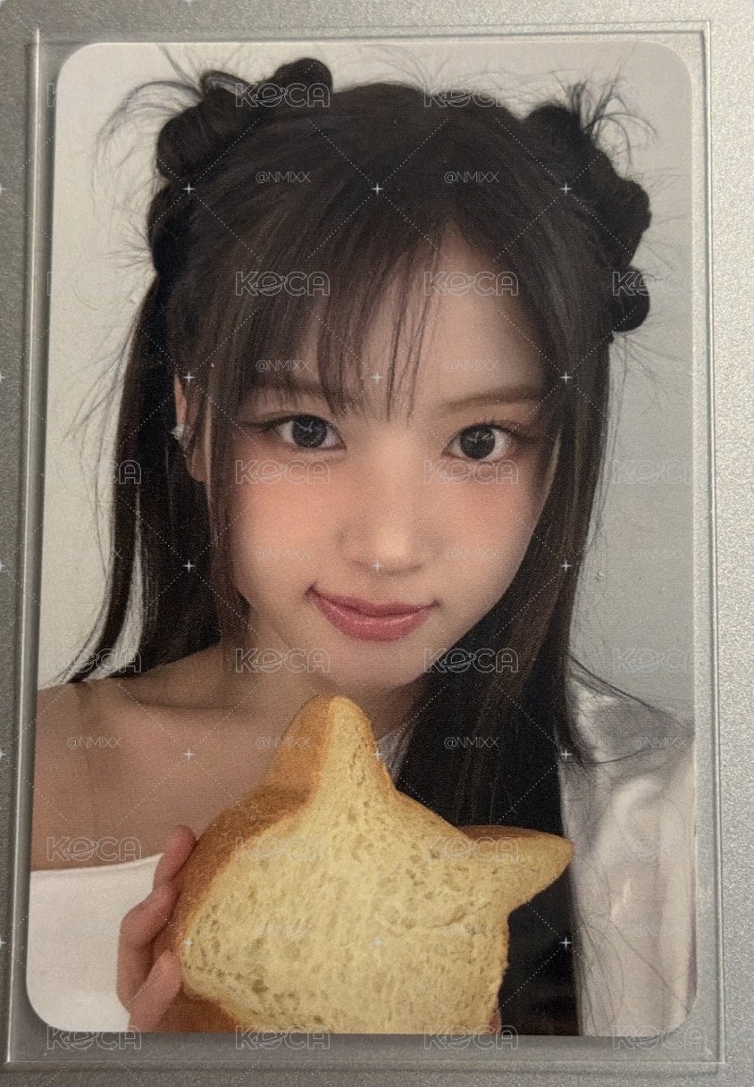 貓咪麵包友