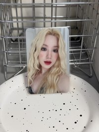 跟布偶貓很像的一張（需多帶100元