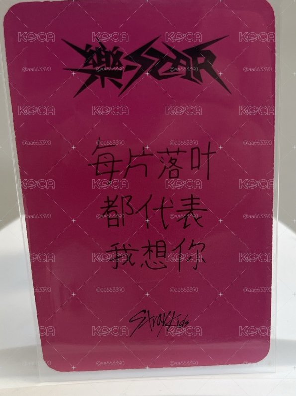 中背忙內