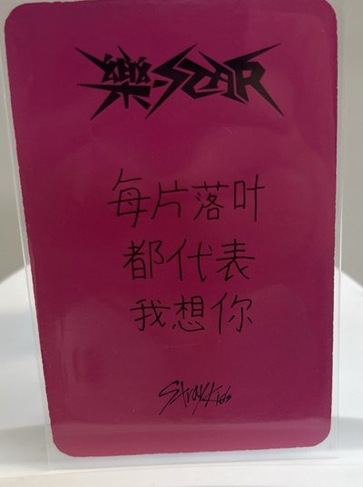 中背忙內