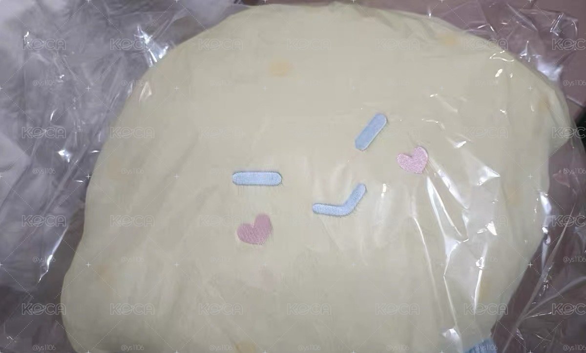 SJ MARKET 藝聲檸檬抱枕 