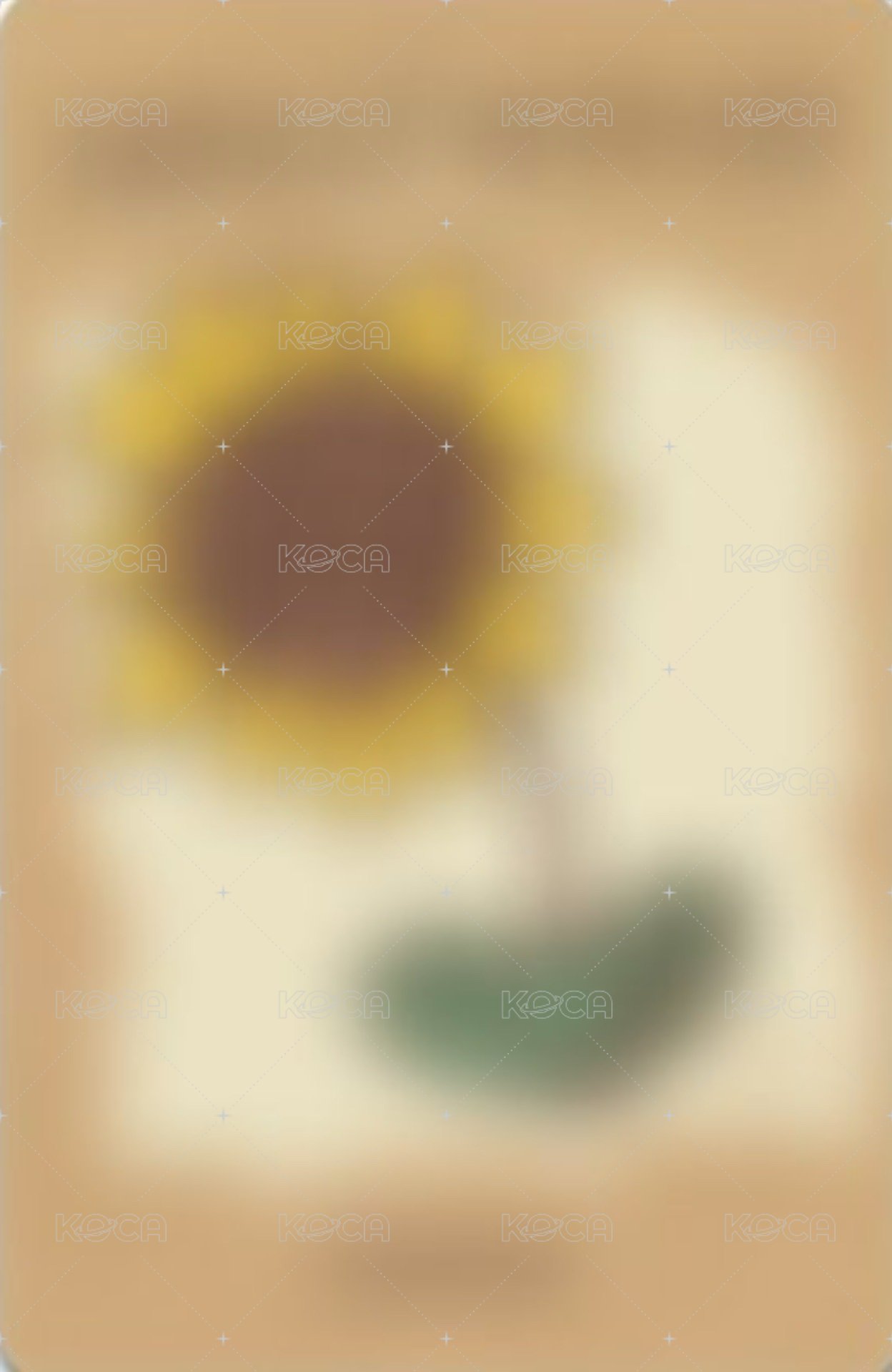 Mmchk ms 7.0 簽售卡 滿眼都是 NEX2Y ver. 背面