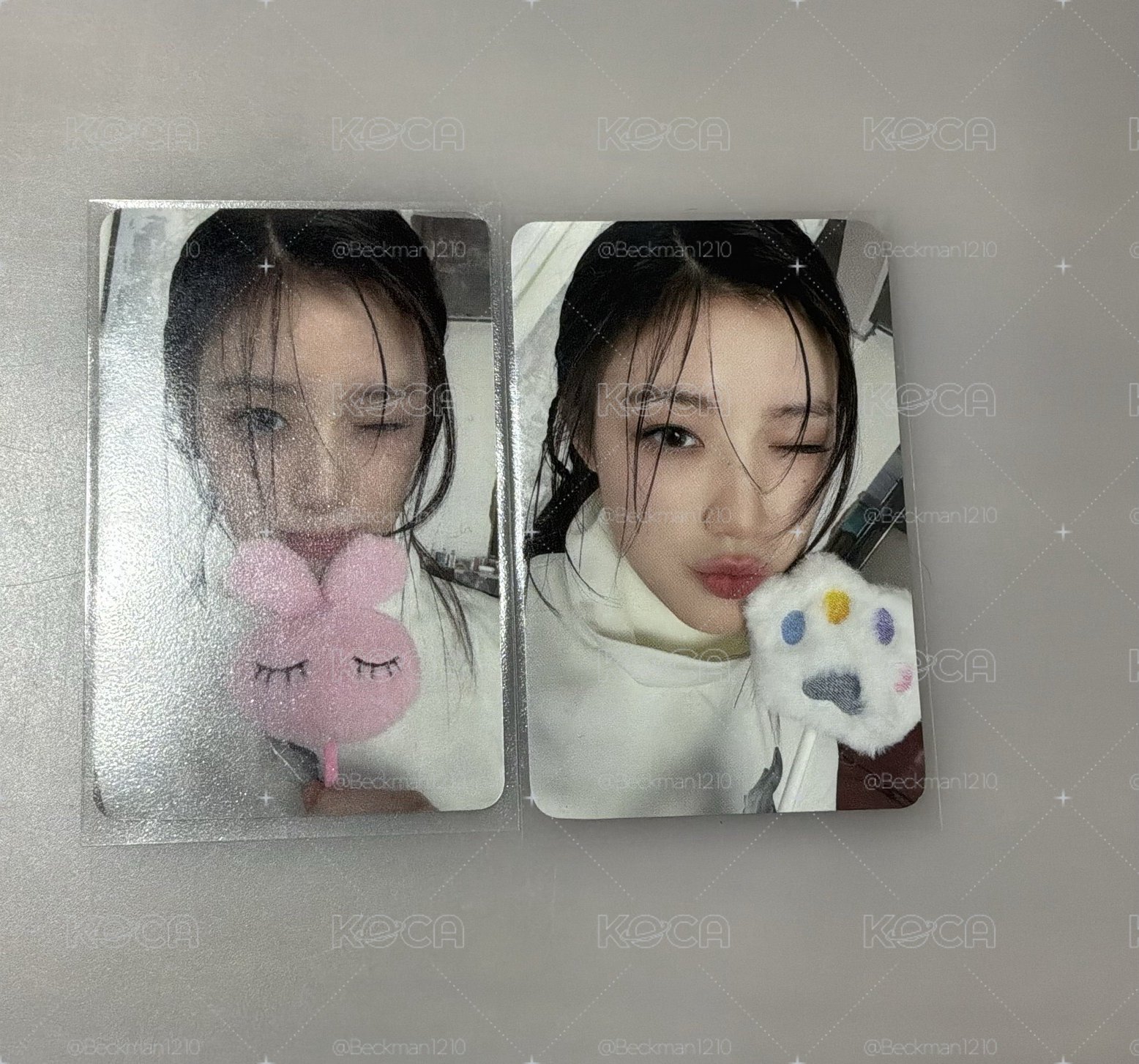現貨 舒華特典🐺