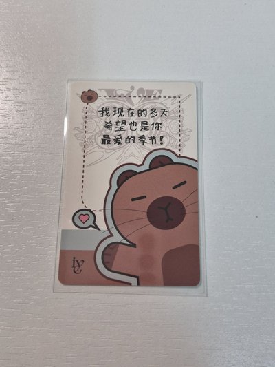 卡皮巴拉秋