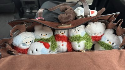 BT21 迷你雪人毛絨鑰匙圈 隨機款 節日款