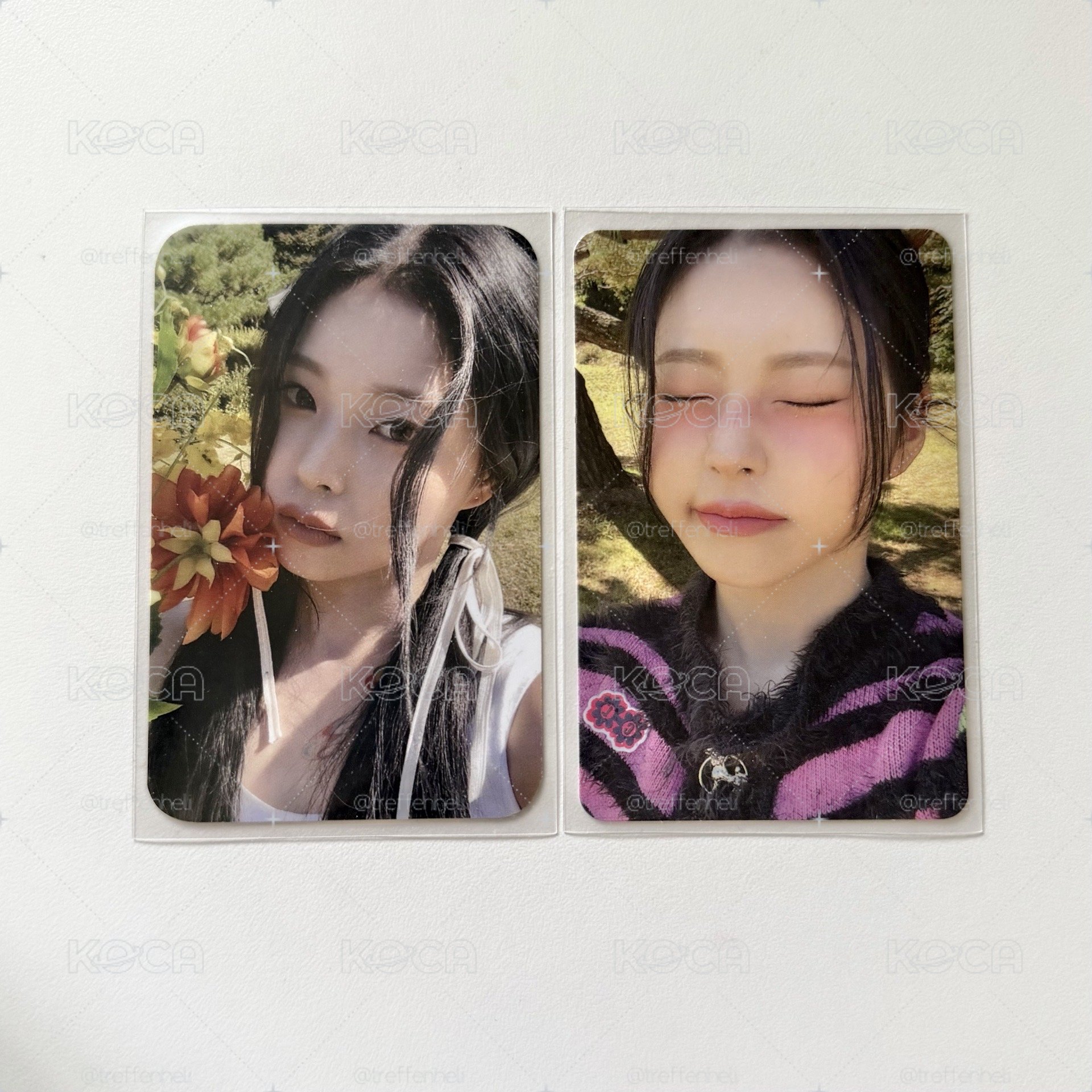 sw拿花圭+專卡