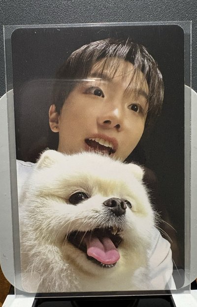 狗狗卡6 含吊飾