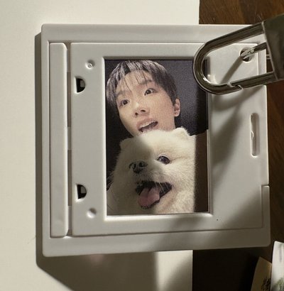 狗狗卡6 含吊飾