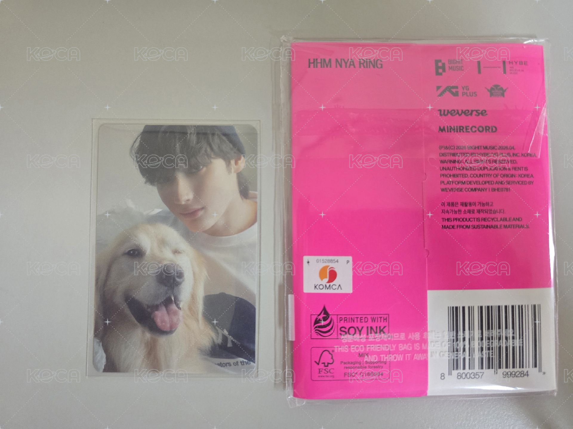 寧＆黃金獵犬+迷八電子專-寧