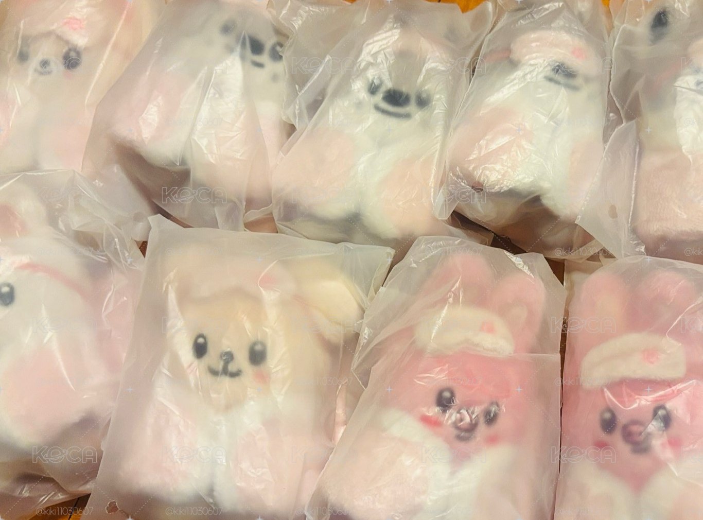 現貨 SKZ FM睡眠娃 10cm燦彬寅辰