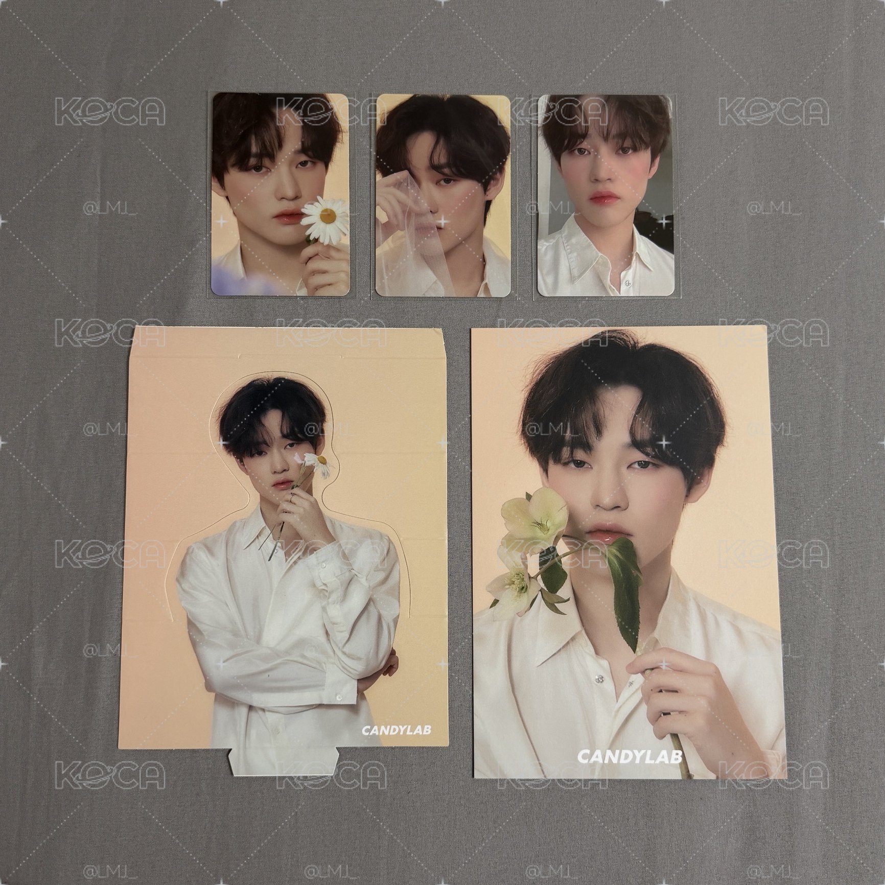 NCT DREAM CANDYLAB聯名