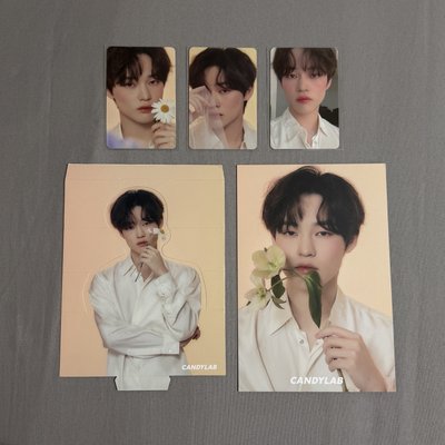 NCT DREAM CANDYLAB聯名