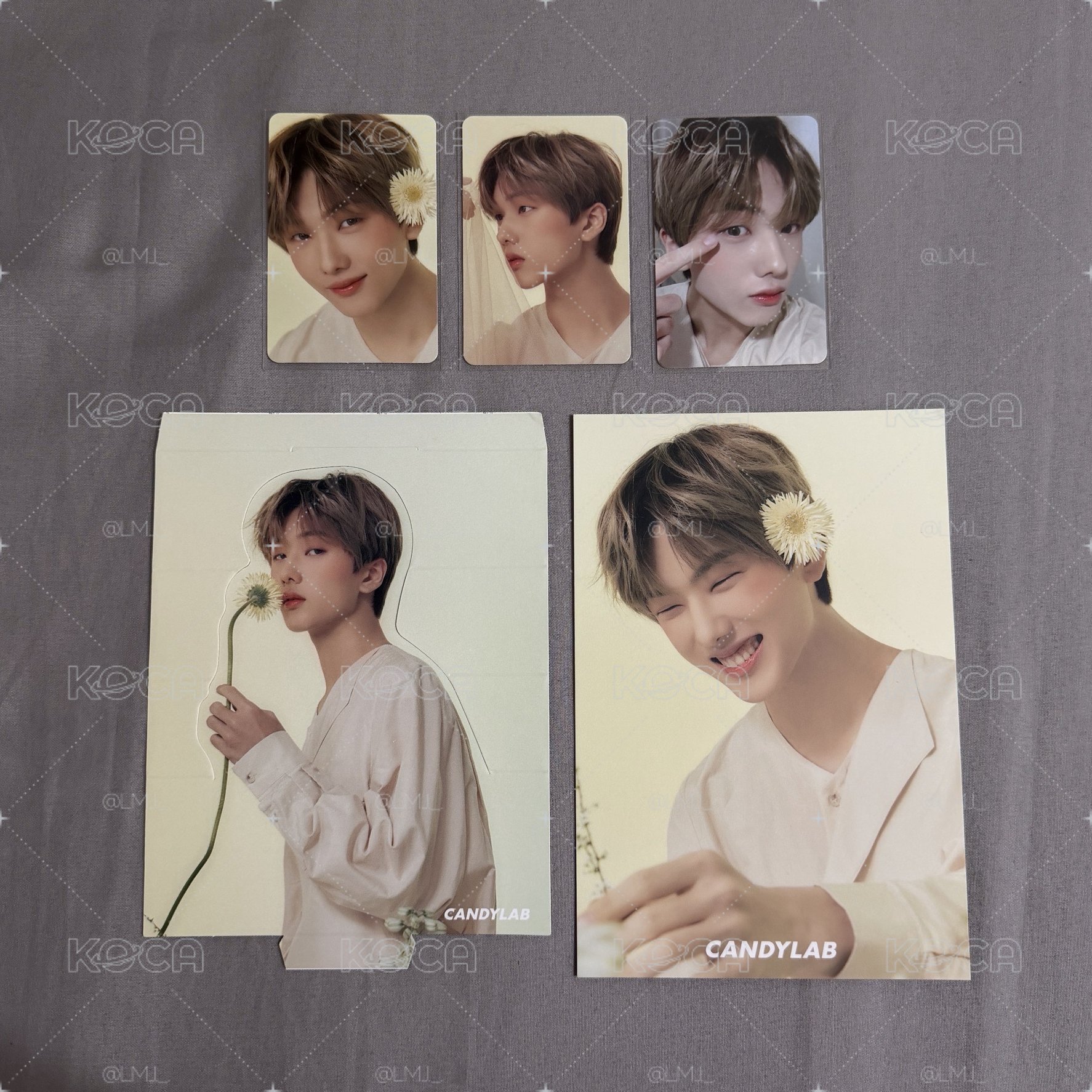 NCT DREAM CANDYLAB聯名